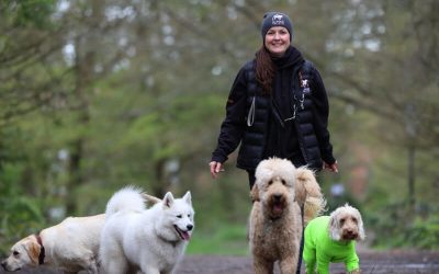 What to Avoid While Dog Walking