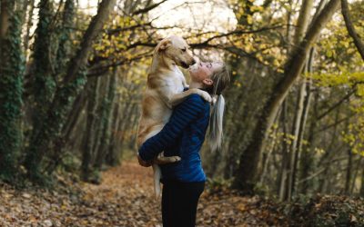 Exploring North London’s Pet-Friendly Communities: Where Dog Owners Connect