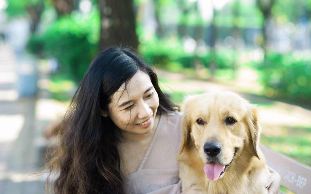 Finding Trustworthy Dog Walkers Near Me: A Local’s Guide to Canine Care in London