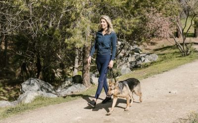 Choosing the Perfect Dog Walker: Factors to Consider and Questions to Ask