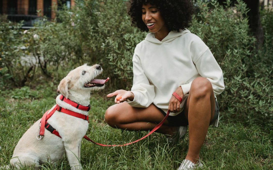 When should a puppy start training classes?