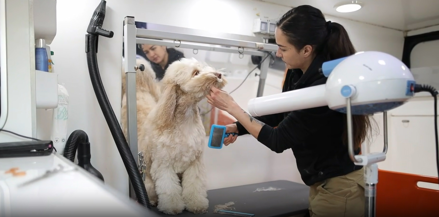 inside Mobile Dog grooming van