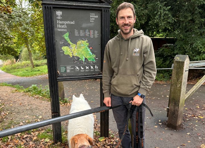 Why Hampstead Heath is the Perfect Place for Dog Walks